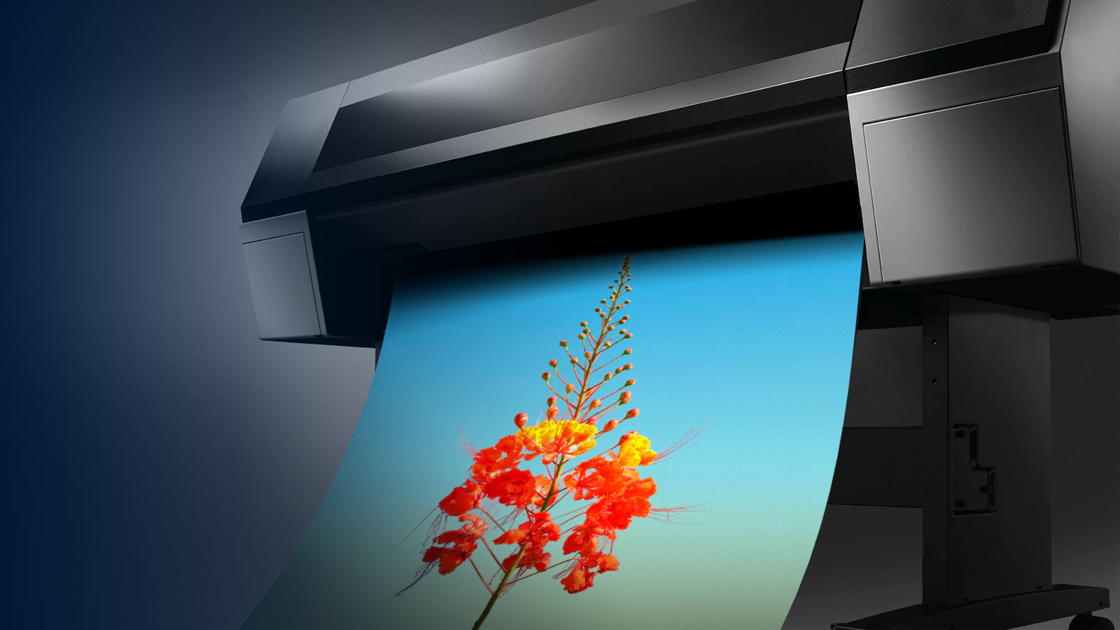 Muzeo Fine Art Printing and Giclee Printing in Arizona